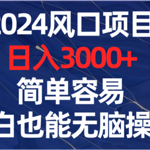 2024风口项目，日入3000+，简单容易，小白也能无脑操作