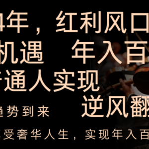 2024红利风口项目来袭，享受第一波红利，逆风翻盘普通人也能实现，年入百万