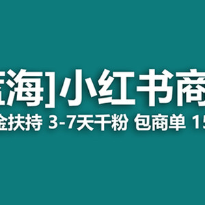 最强蓝海项目，小红书商单！长期稳定，7天变现，商单分配，月入过万