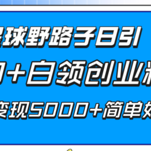 知识星球野路子日引300+白领创业粉，日稳定变现5000+简单好上手！