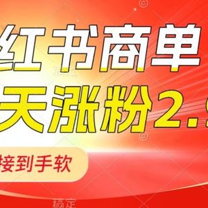 小红书商单最新玩法，新号15天2.9w粉，商单接到手软，1分钟一篇笔记