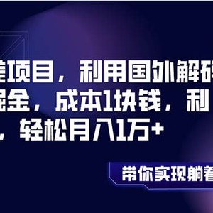 信息差项目，利用国外解码平台掘金，成本1块钱，利润10+，轻松月入1万+