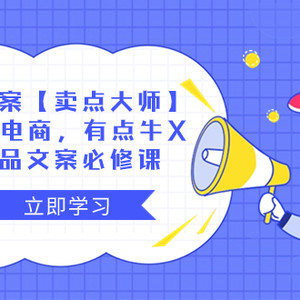 产品文案【卖点 大师】高转化电商，有点牛X的 产品文案必修课