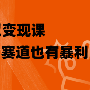 虚拟变现课，冷门赛道也有暴利，手把手教你玩转冷门私域