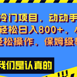 超级冷门项目,动动手指，单号轻松日入800+，小白也可轻松操作，保姆级教程