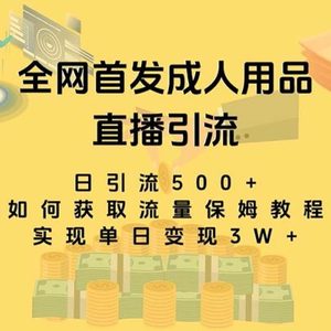 最新全网独创首发，成人用品直播引流获客暴力玩法，单日变现3w保姆级教程