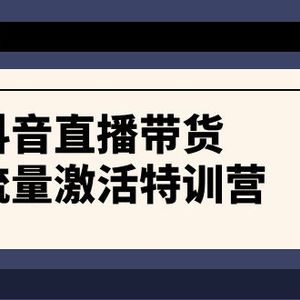 抖音直播带货-流量激活特训营，入行新手小白主播必学（21节课+资料）