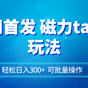 全网首发磁力toptop玩法 轻松日入300+