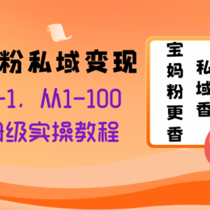 宝妈粉私域变现从0-1，从1-100，保姆级实操教程，长久稳定的变现之法