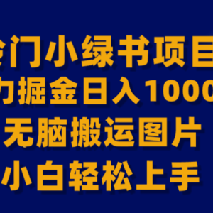 【全网首发】冷门小绿书暴力掘金日入1000＋，无脑搬运图片小白轻松上手