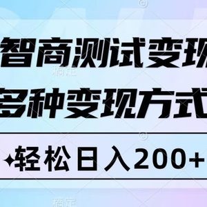 智商测试变现，轻松日入200+，几分钟一个视频，多种变现方式（附780G素材）