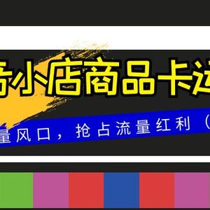 抖音小店商品卡运营，2023流量风口，抢占流量红利（15节课）