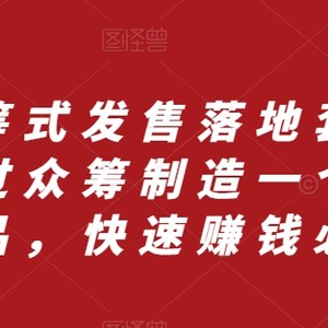 众筹 式发售落地套装，通过众筹制造一个新产品，快速赚钱必备