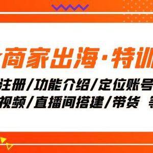 Tk商家出海·特训营：ID注册/功能介绍/定位账号/爆款视频/直播间搭建/带货.