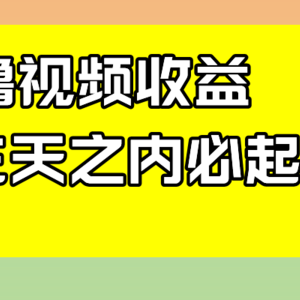 最新撸视频收益玩法，一天轻松200+