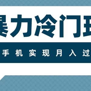 超暴力冷门玩法，可长期操作，一部手机实现月入过万