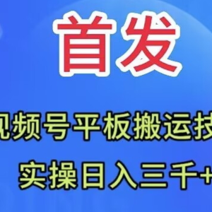 全网首发：视频号平板搬运技术，实操日入三千＋