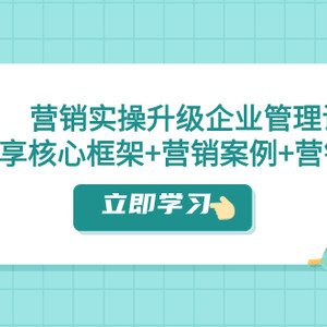 营销实操升级·企业管理课：分享核心框架+营销案例+营销工具（课程+文档）