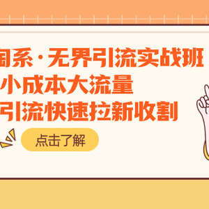 2023淘系·无界引流实战班：小成本大流量，低价引流快速拉新收割