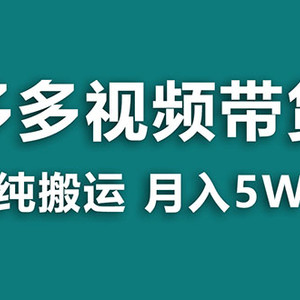 （7760期）【蓝海项目】多多视频带货，靠纯搬运一个月搞5w，新手小白也能操作【揭秘】