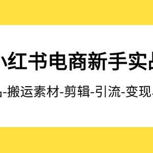 （7741期）2023小红书电商新手实战课程，开店-爆品-搬运素材-剪辑-引流-变现、全流程