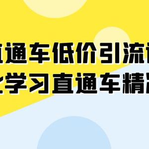 （7698期）直通车-低价引流课，系统化学习直通车精准投放（14节课）