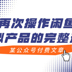 （7699期）某公众号付费文章，再次操作闲鱼虚拟产品的完整过程