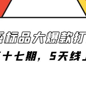 （7697期）淘系标品大爆款打造课-第十七期，5天线上课