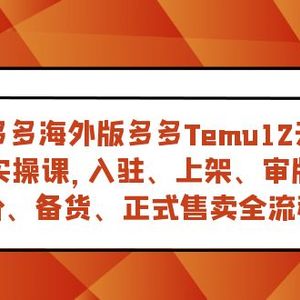 （7686期）跨境多多海外版多多Temu12天快速入门实战课，从入驻 上架到正式售卖全流程