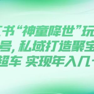 （7673期）小红书“神童降世”玩法 暴力起号,私域打造聚宝盆 弯道超车 实现年入几十万