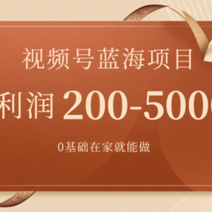 （7585期）视频号蓝海项目，0基础在家也能做，日入200-5000+【附266G资料】