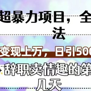 （7569期）超暴利项目，全新玩法（辞职卖情趣的第几天），七天变现上万，日引500+粉
