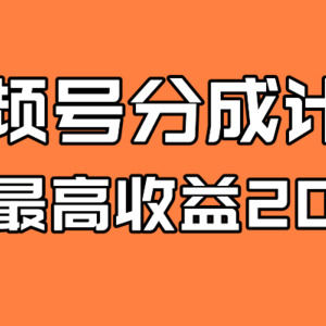 （7557期）全新蓝海 视频号掘金计划 日入2000+