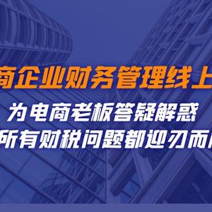 （7504期）电商企业-财务管理线上课：为电商老板答疑解惑-让所有财税问题都迎刃而解