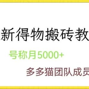 最新得物球鞋搬砖教程，每月5000