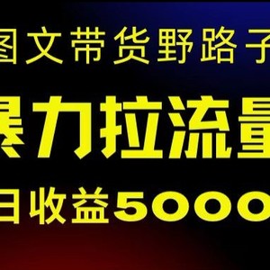 抖音图文带货暴力起号，单日收益5000+，野路子玩法，简单易上手，一部手机即可【揭秘】