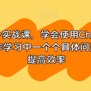 GPT指令实战课，学会使用ChatGPT，解决工作学习中一个个具体问题，真正提高效率