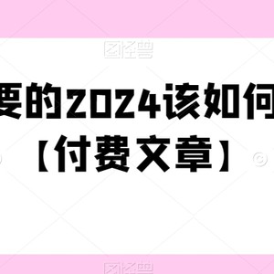 极其重要的2024该如何把握？【付费文章】