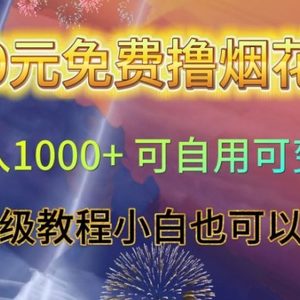 0元免费撸烟花日入1000+可自用可变现保姆级教程小白也可以操作【仅揭秘】