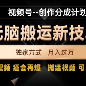 视频号无脑搬运新技术，破原创壕流量，独家方式，爆过视频，还会再爆【揭秘】