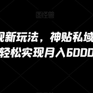 B站项目变现新玩法，神贴私域流0成本，可轻松实现月入6000+【揭秘】