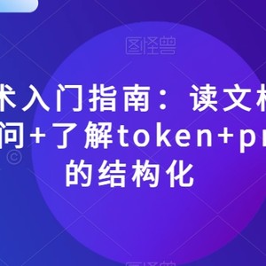 AI提示术入门指南：读文档+如何有效提问+了解token+prompt的结构化【揭秘】