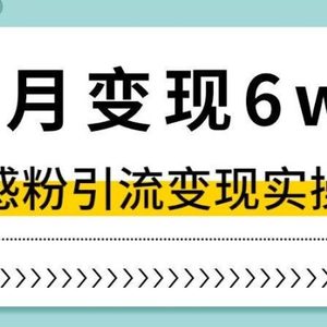 单月变现6W+，抖音情感粉引流变现实操课，小白可做，轻松上手，独家赛道【揭秘】