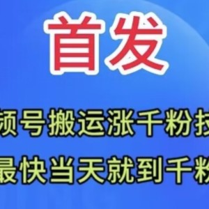 全网首发：视频号无脑搬运涨千粉技术，最快当天到千粉【揭秘】