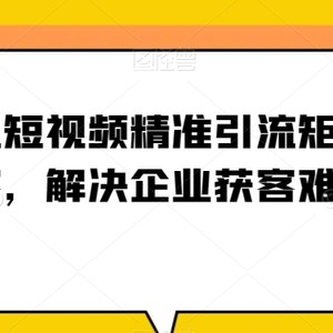 企业短视频精准引流矩阵获客，解决企业获客难题