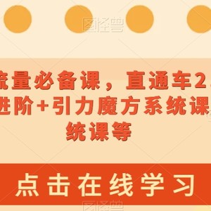 2023淘系流量必备课，直通车2.0进阶+引力魔方2.0进阶+引力魔方系统课+万象台系统课等