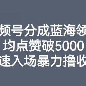 视频号分成蓝海领域，均点赞破5000，速速入场暴力撸收益