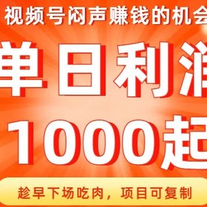 视频号闷声赚钱的机会，趁早下场吃肉，项目可复制，单日利润1000起【揭秘】