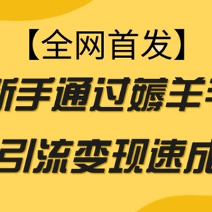 【全网首发】新手通过薅羊毛暴力引流变现速成玩法