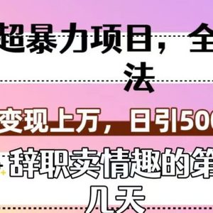 超暴利项目，全新玩法（辞职卖情趣的第几天），七天变现上万，日引500+粉【揭秘】